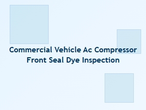 A Detailed Inspection of Front Seal Dyes