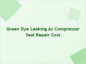 Understanding Green Dye and Ac Seal Repair Costs