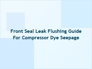 Guide to Flushing a System for Dye Seepage