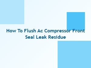 Flushing Ac Compressor Seal Leak Residue From the System