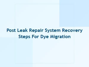 Recovering From Dye Migration with a Post Leak Repair System